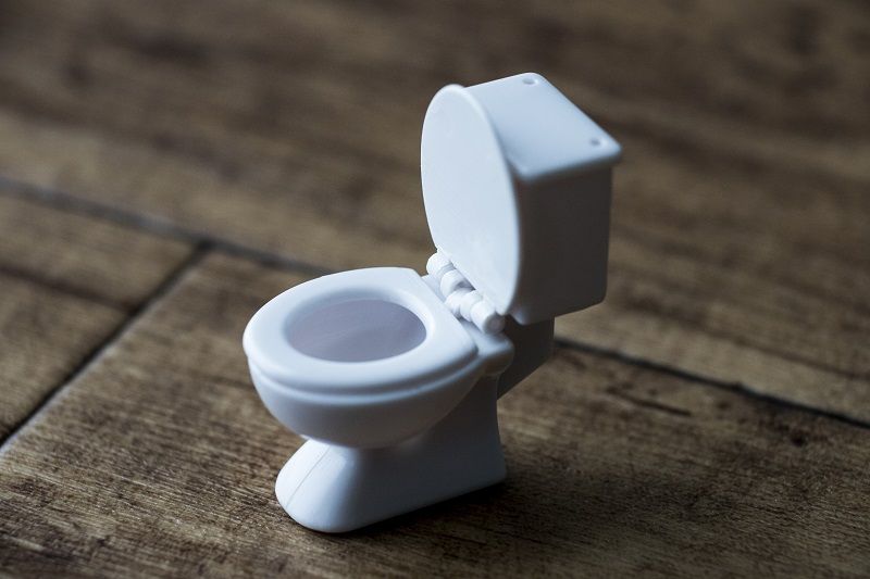 Toilets-and-miniatures-cm