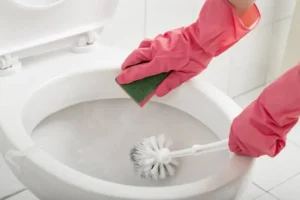 Scrubbing toilet -cm