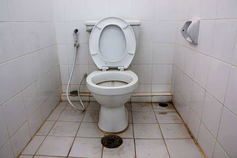 Dirty Toilet -cm