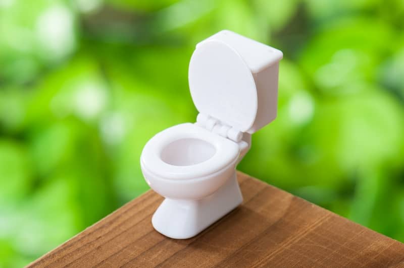 Miniature toilet-cm