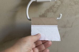 A hand taking the last toilet paper towel -cm